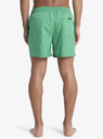 Bañador Quiksilver Everyday Deluxe 15" - Leprechaun (gnz0)