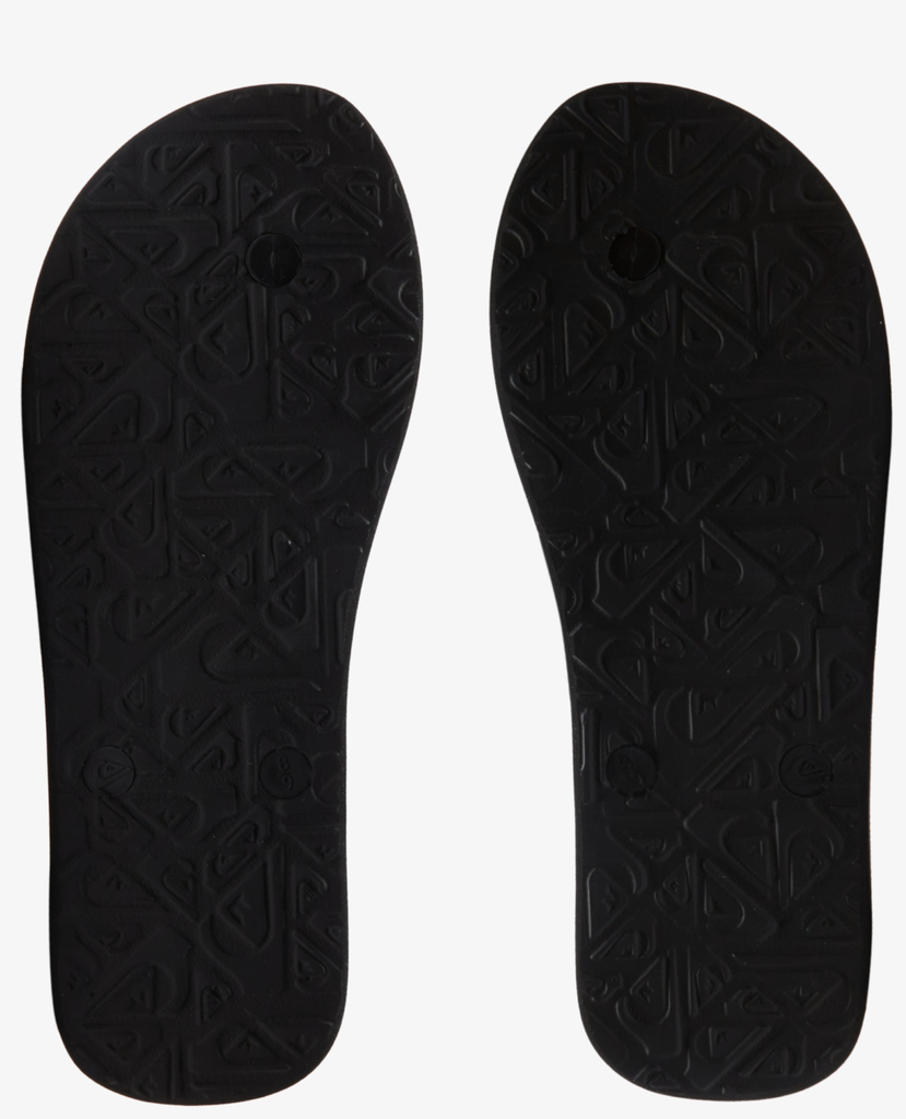 Chanclas Quiksilver Molokai Core - Grey