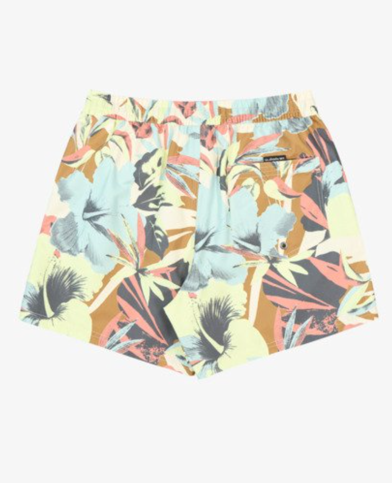 Bañador Quiksilver Everyday Printed Volley 15" - Bone White Interact Floral