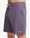 Bañador Billabong Every Other Day Low Tide - Dusty Grape (ppd0)