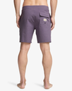 Bañador Billabong Every Other Day Low Tide - Dusty Grape (ppd0)