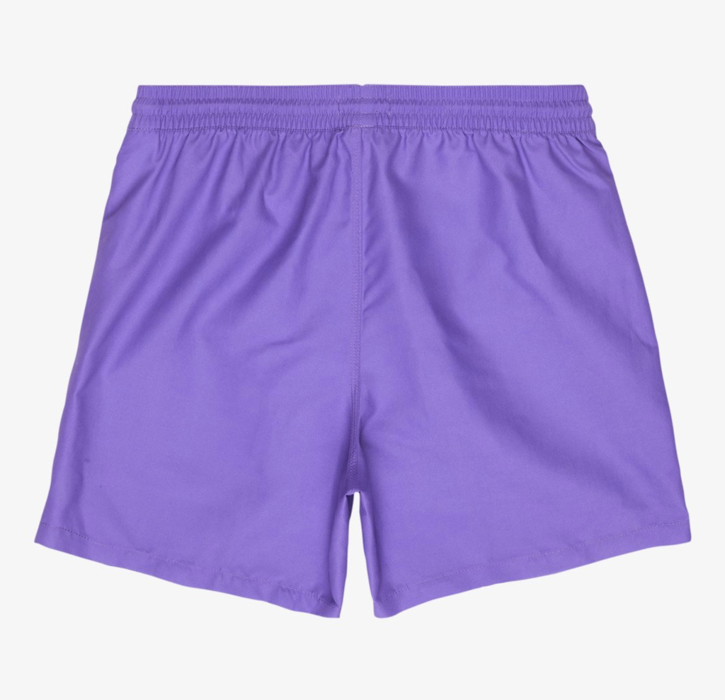 Bañador Billabong All Day 16" - Purple Cactus Flower (ppt0)