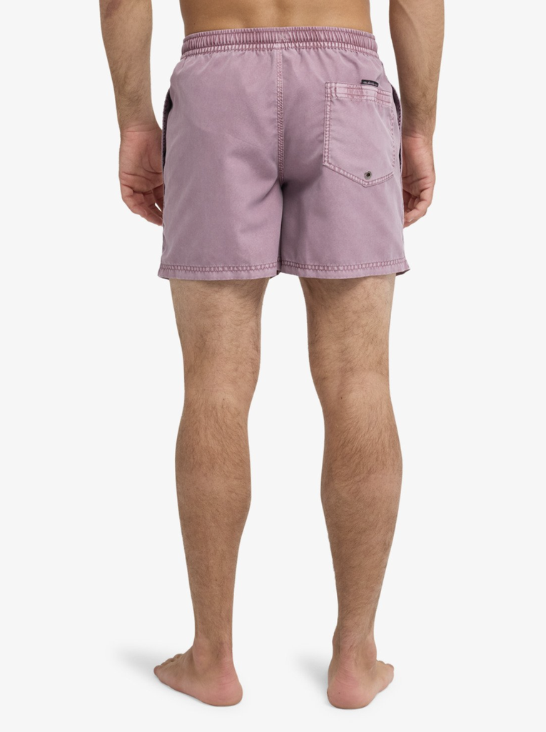 Bañador Quiksilver Everyday Surfwash Volley 15" - Grape Shake (pmr0)