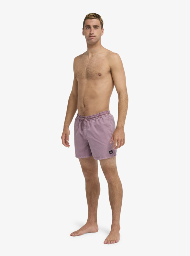 Bañador Quiksilver Everyday Surfwash Volley 15" - Grape Shake (pmr0)