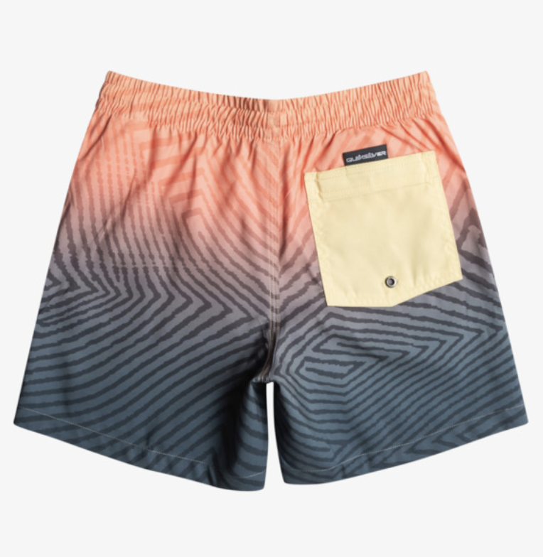 Bañador Quiksilver Everyday Warped Logo 14&quot;