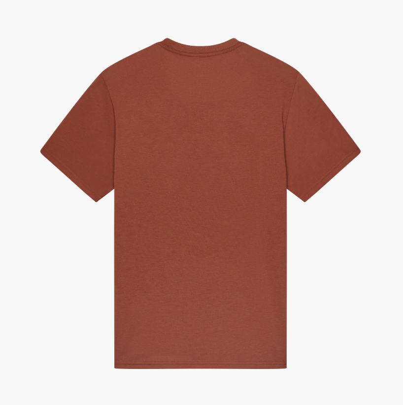 Camiseta Fox Absolute Original Dri-Release - Amber Scarlet (a scr)