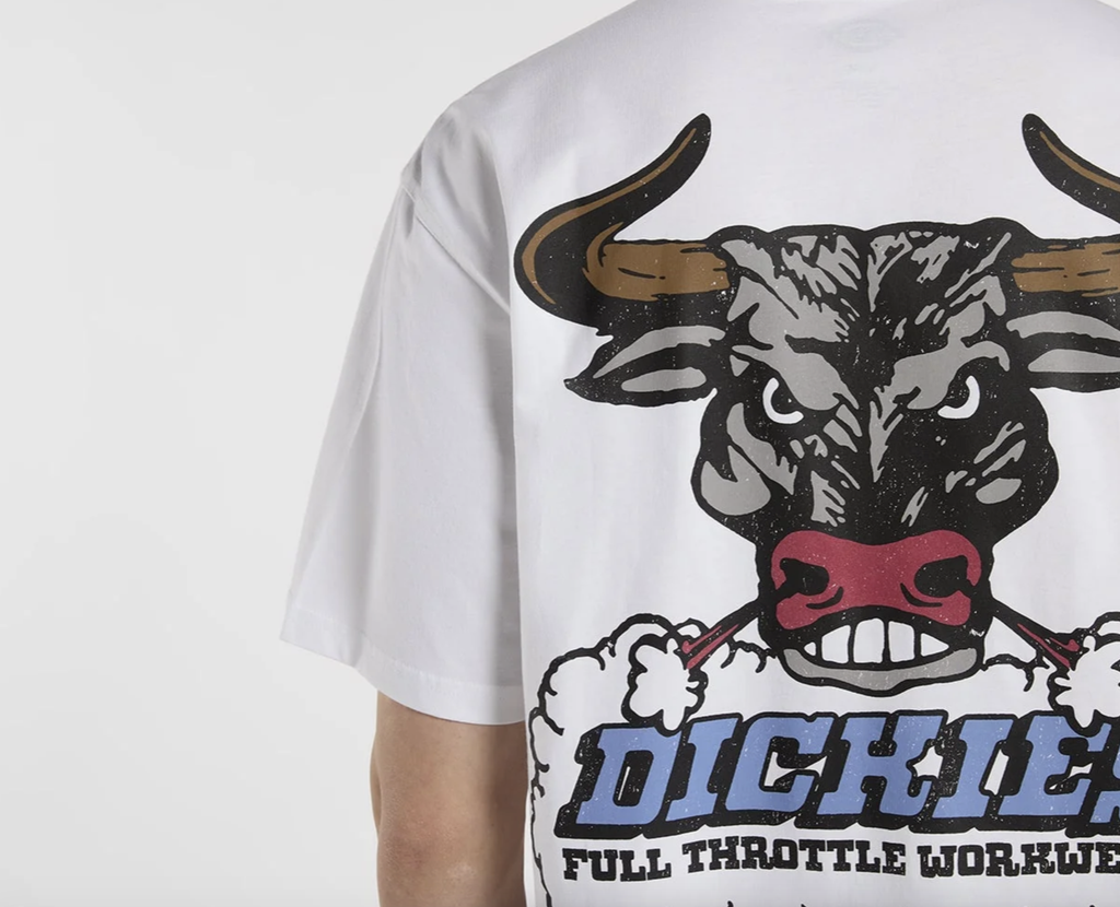 Camiseta Dickies Lakeridge - White