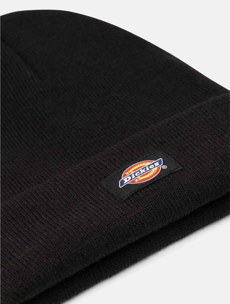 Gorro Dickies Gibsland - Black