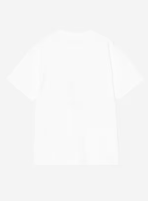 Camiseta Carhartt WIP W' S/S Spray Heart - White