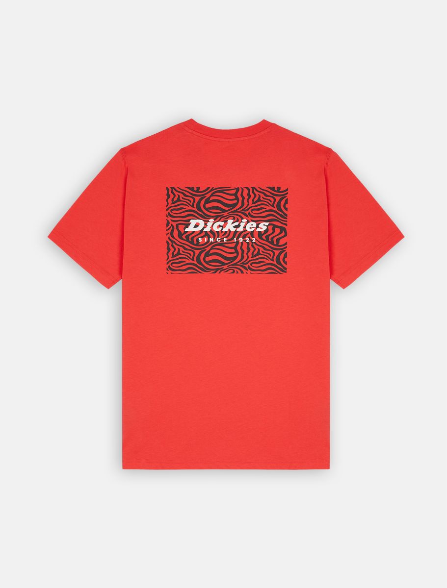 Camiseta Dickies Leesburg Box