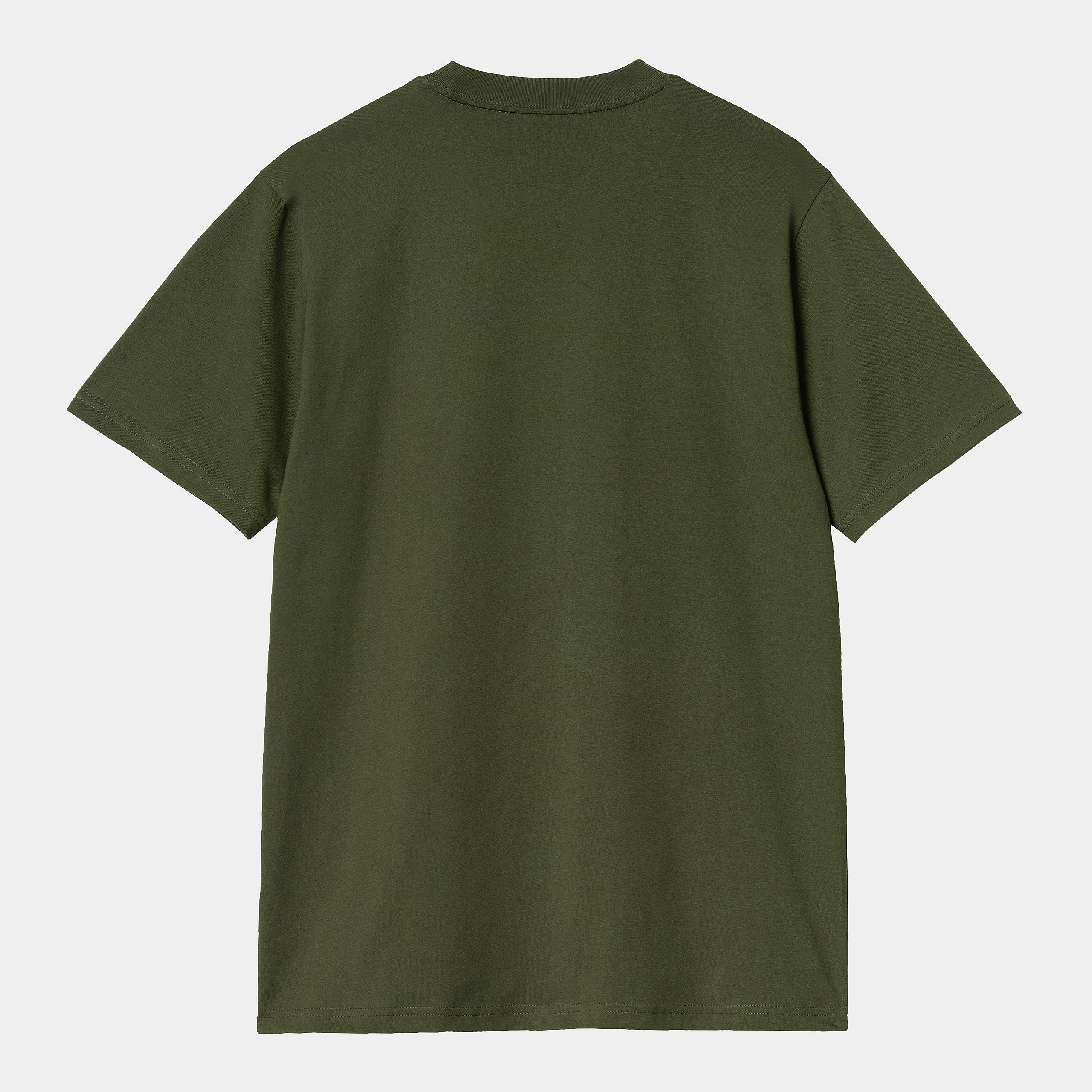 Camiseta Carhartt WIP Paradise Script - Tarragon
