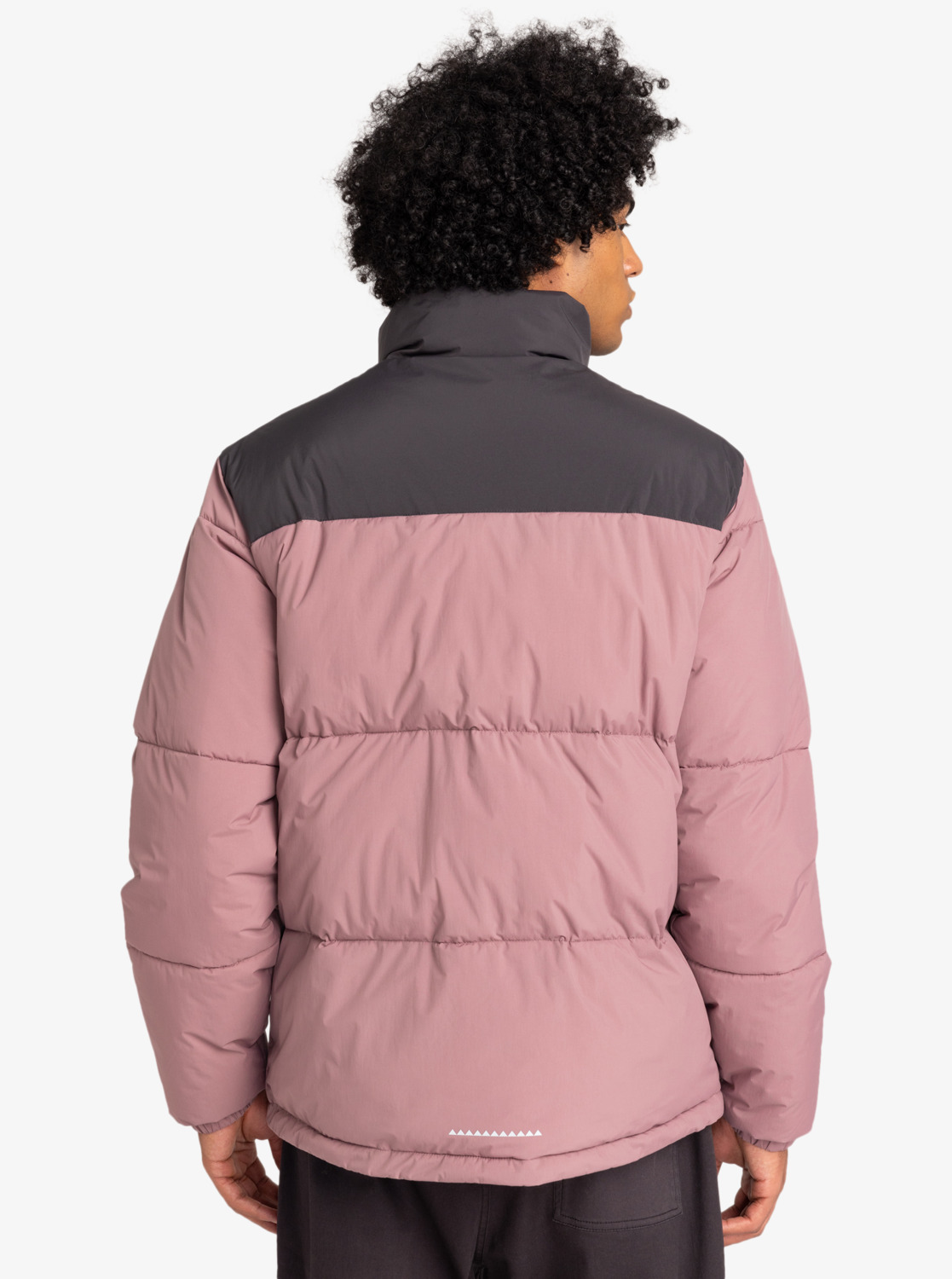 Chaqueta Quiksilver Wild Mountain - Grape Shake (PMR0)