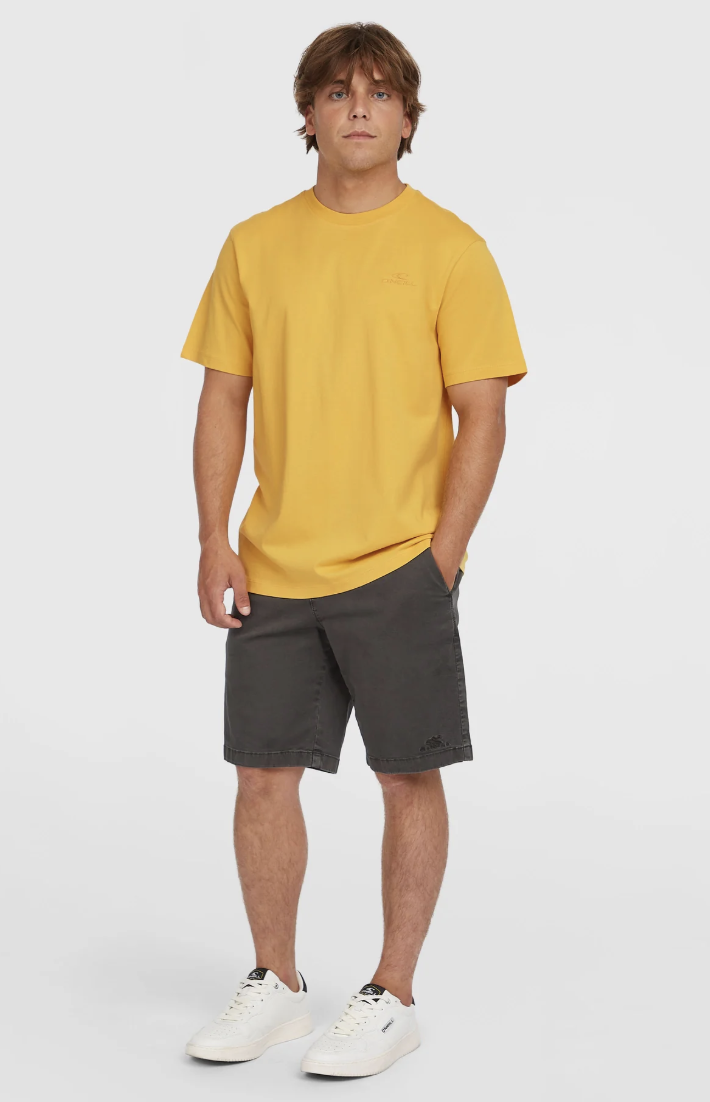 Camiseta O'neill Small Logo - Golden Haze