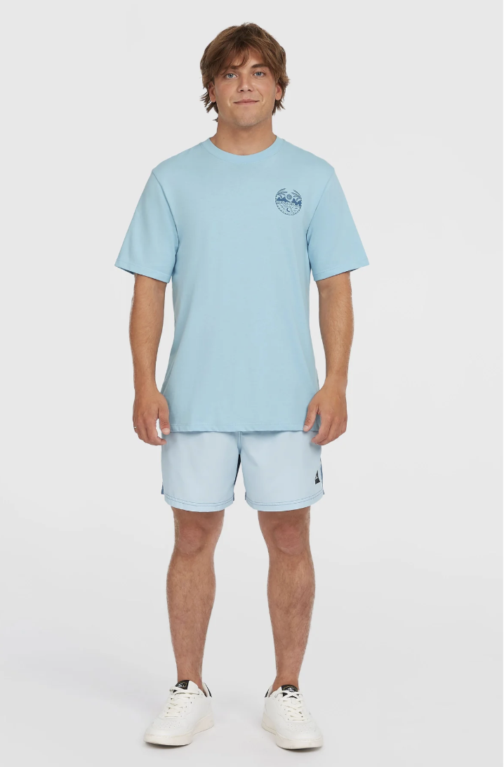 Camiseta O'neill Back Print - Morning Glory Melange