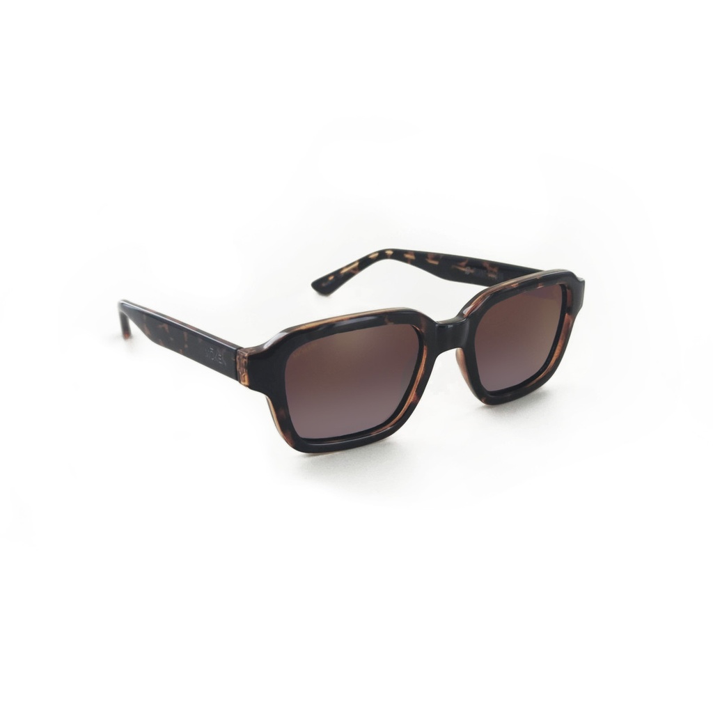 Gafas Moken Dane - Tortoise Brown