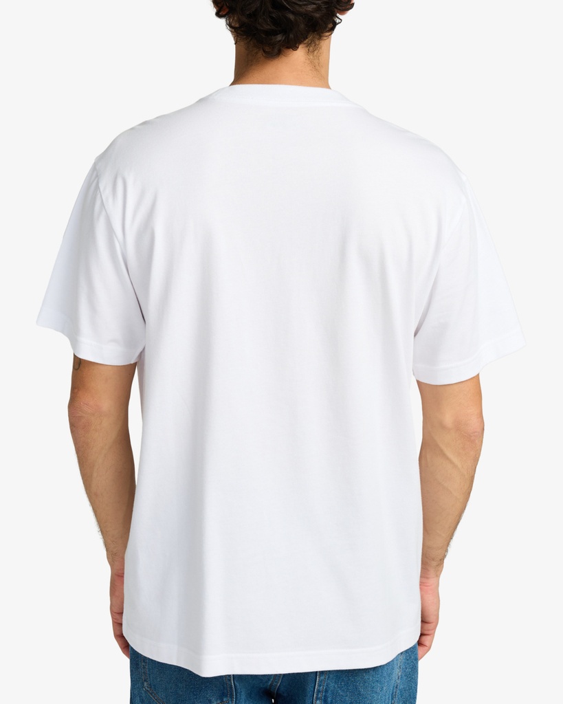 Camiseta RVCA Nature Display - White