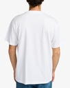 Camiseta RVCA Nature Display - White