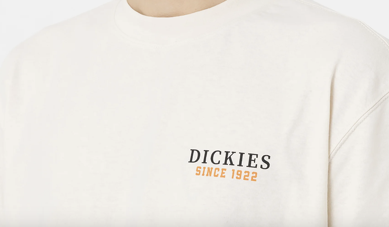 Camiseta Dickies Hays Tee ss - White