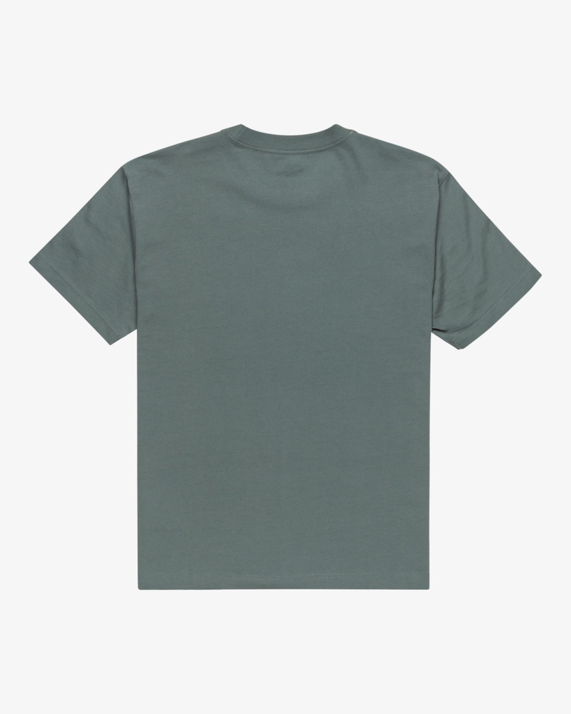 Camiseta RVCA Nature Display - Balsam Green (GNY0)