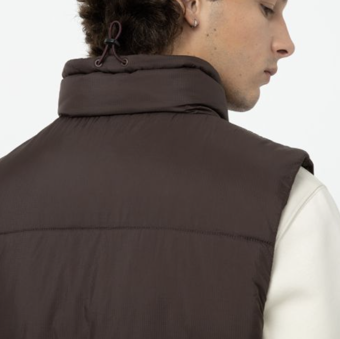 Chaleco Dickies Waldenburg Vest - Java