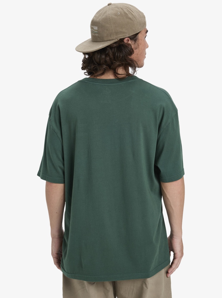 Camiseta Quiksilver Salt Water - Trekking Green (tkr)