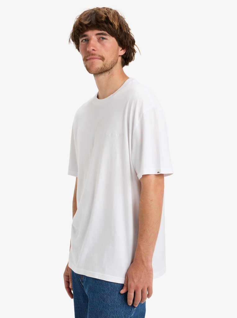 Camiseta Quiksilver Salt Water - White (wbb0)