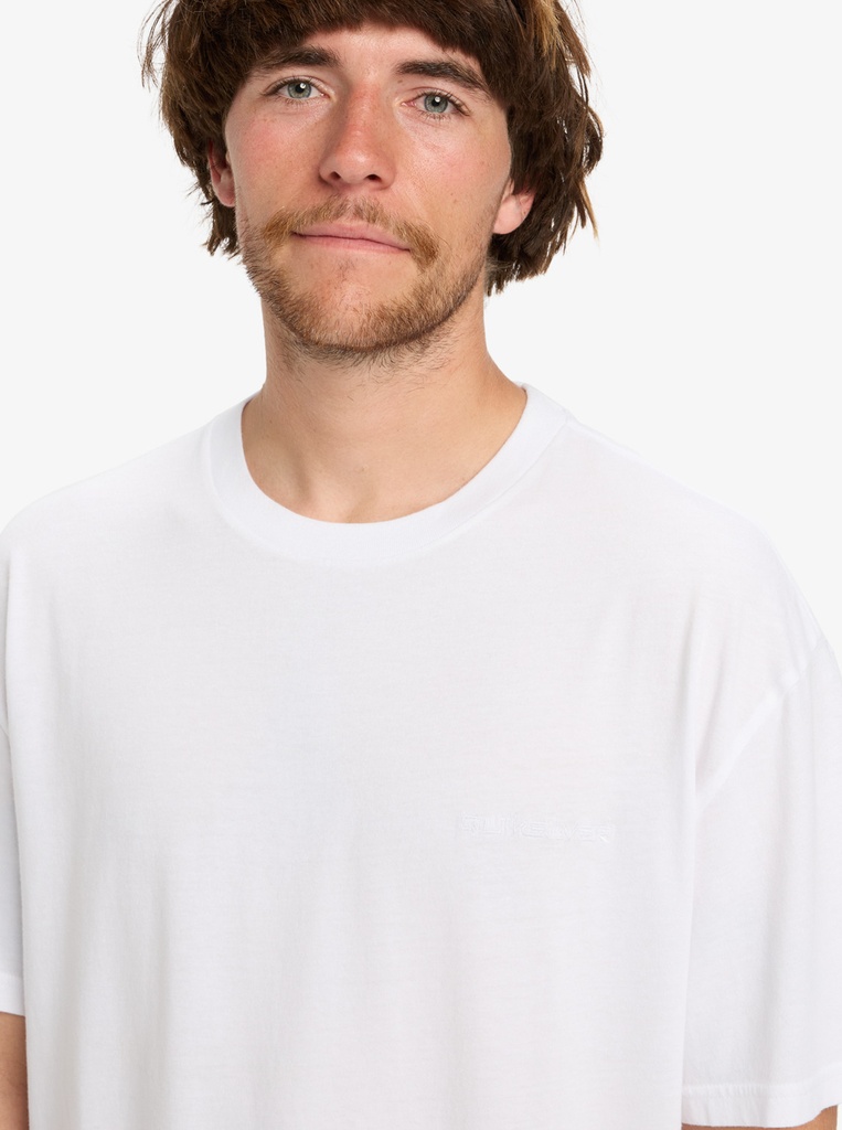 Camiseta Quiksilver Salt Water - White (wbb0)