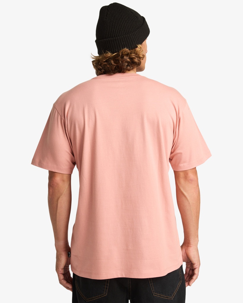 Camiseta Billabong Arch Crew - Ash Rose