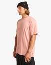 Camiseta Billabong Arch Crew - Ash Rose