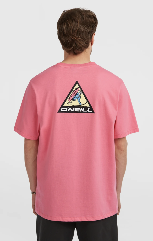 Camiseta O'Neill Fwc'Play Graphic - Skater Pink