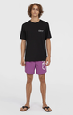 Camiseta O'neill Original Cali Logo - Black Out