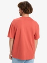 Camiseta Quiksilver Salt Water - Mineral Red (mmz0)