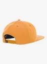 Gorra Quiksilver Dna Omni - Almond (Cmd0)