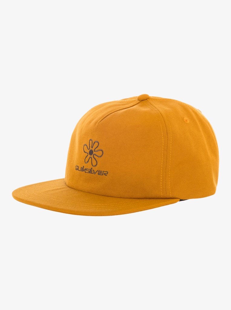 Gorra Quiksilver Lenny -