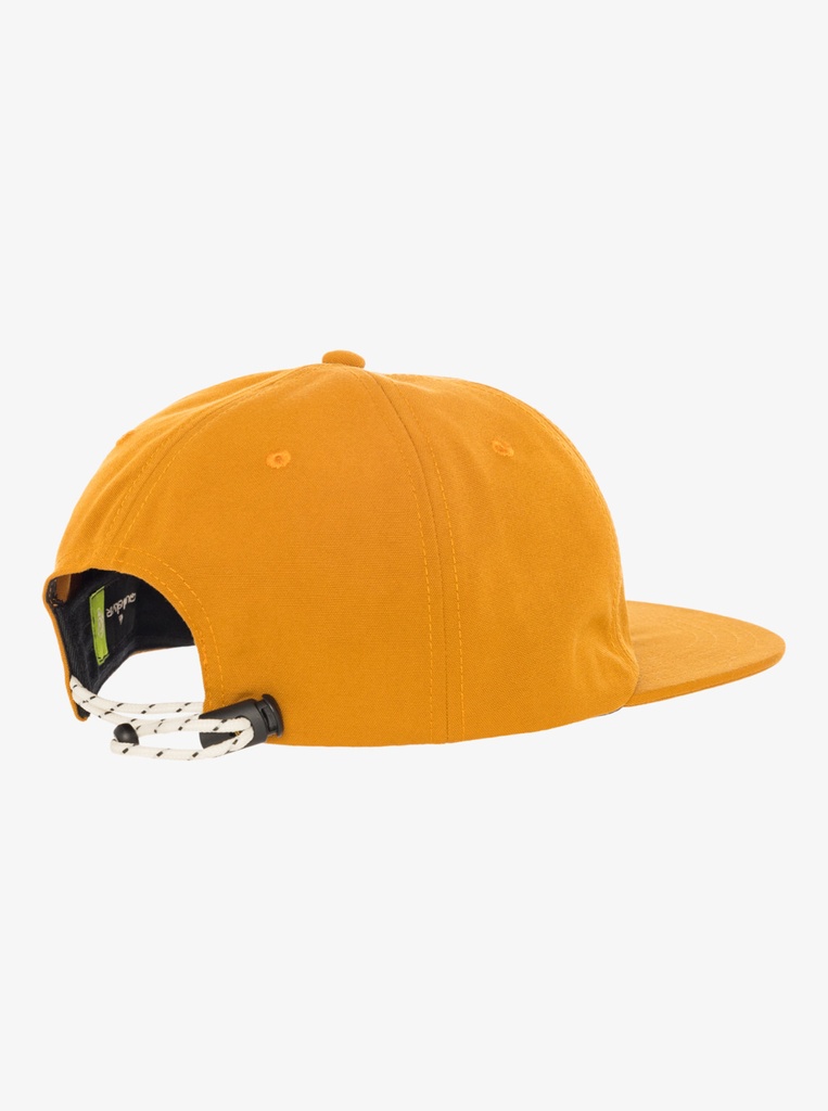 Gorra Quiksilver Lenny -