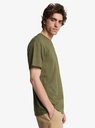 Camiseta Quiksilver Mw Neps - Grape Leaf