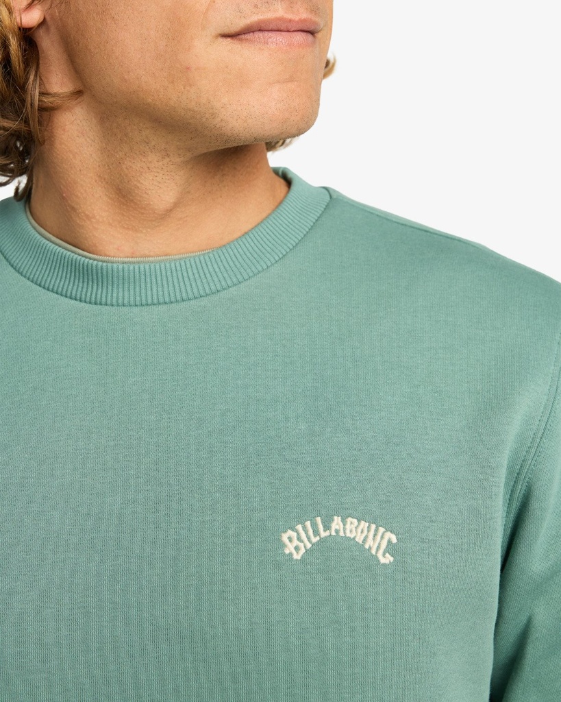 Sudadera Billabong Arch Cr - Sagebrush (BMR0)