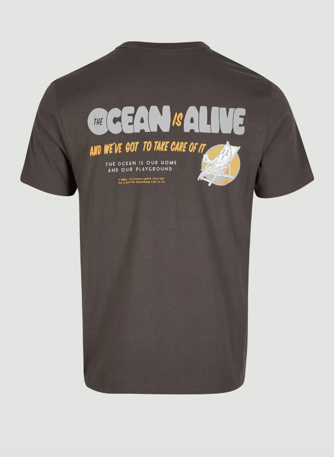 Camiseta O'Neill Pacific