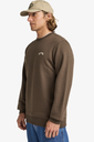 Sudadera Billabong Arch - Dark Cedar