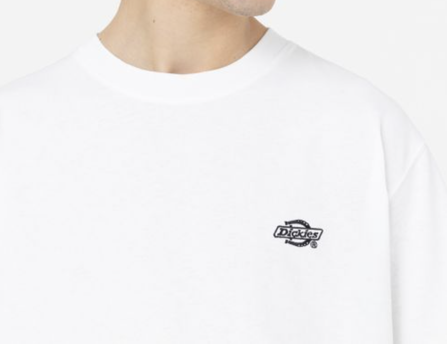 Camiseta Dickies Summerdale - White