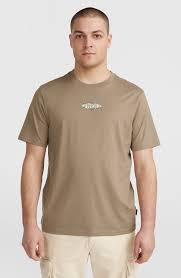 Camiseta O´neill Print T-Shirt - Brown (Concrete)