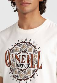 Camiseta O´neill Ikat Graphic T-Shirt - White (Snow White)