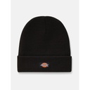 Gorro Dickies Gibsland - Black