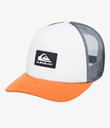 Gorra Quiksilver Omnipotent - Snow White