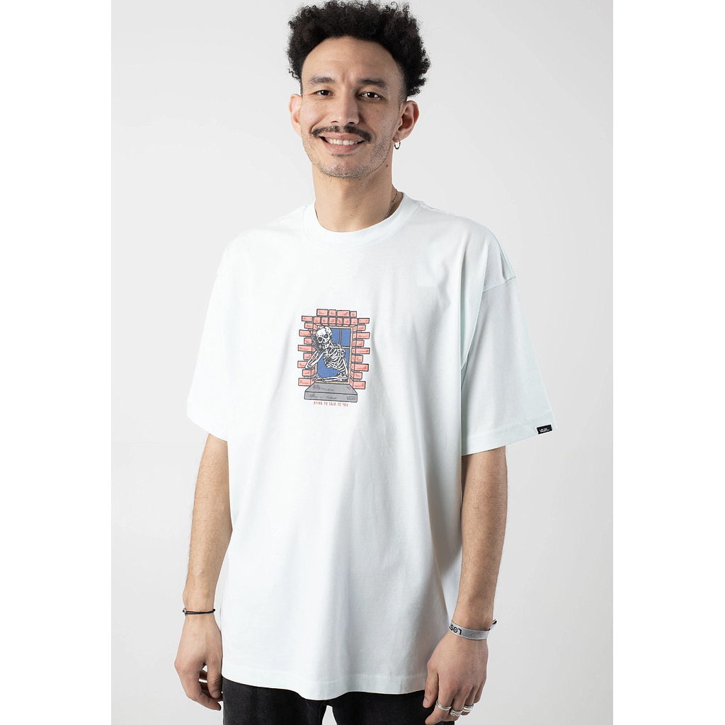 Camiseta Vans Skull Window - Hint Of Mint