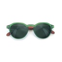 Gafas Moken Greenwood - Green Wood Green
