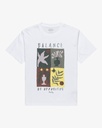 Camiseta RVCA Nature Display - White