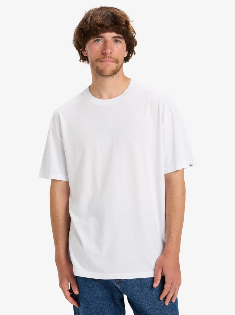 Camiseta Quiksilver Salt Water - White (wbb0)