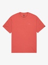 Camiseta Quiksilver Salt Water - Mineral Red (mmz0)