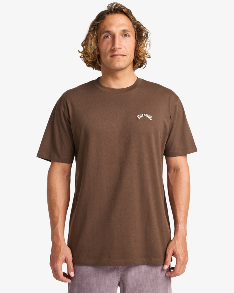 Camiseta Billabong Arch Crew - Dark Cedar